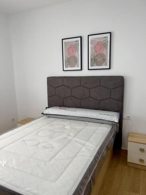 Rockside Residences Suites La Linea Ла-Линеа-де-ла-Консепсьон Экстерьер фото